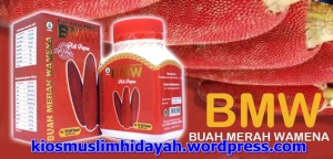 Grosir Herbal Kios muslim Buah Merah Wamena 100%